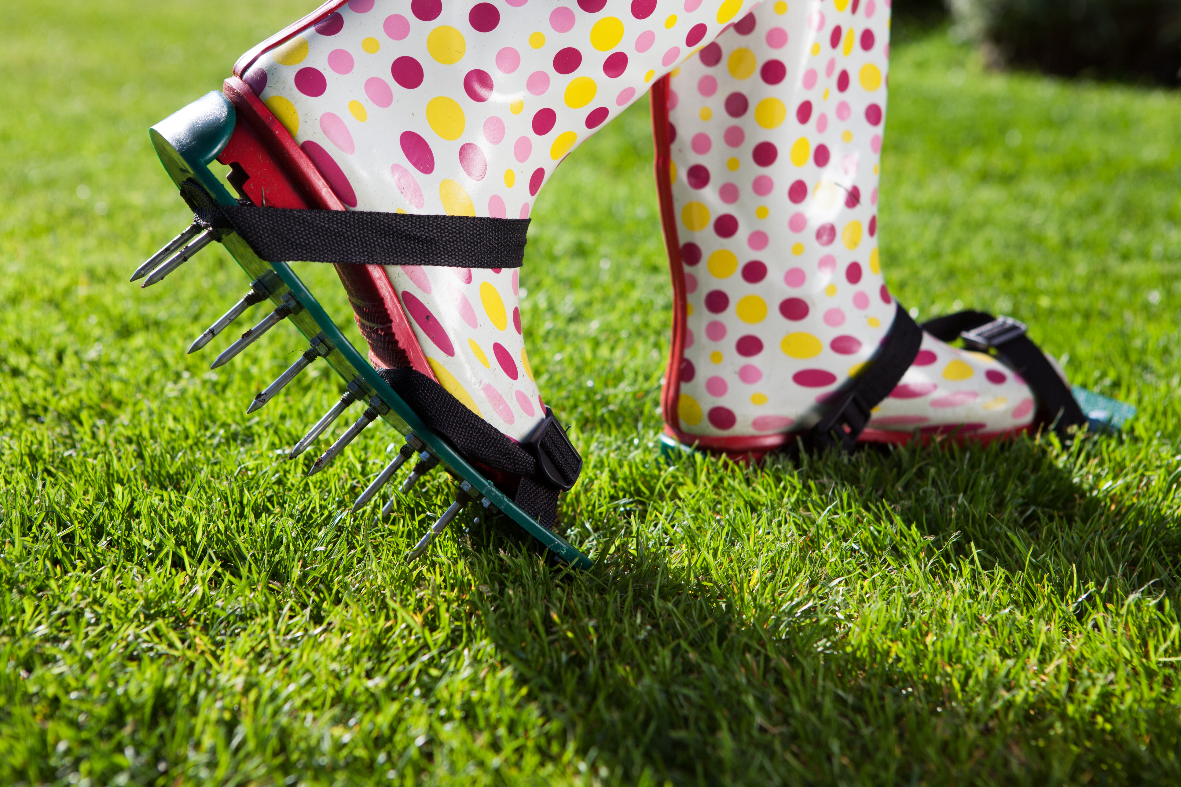Spiked lawn shoes are an alternative (Thinkstock/PA)