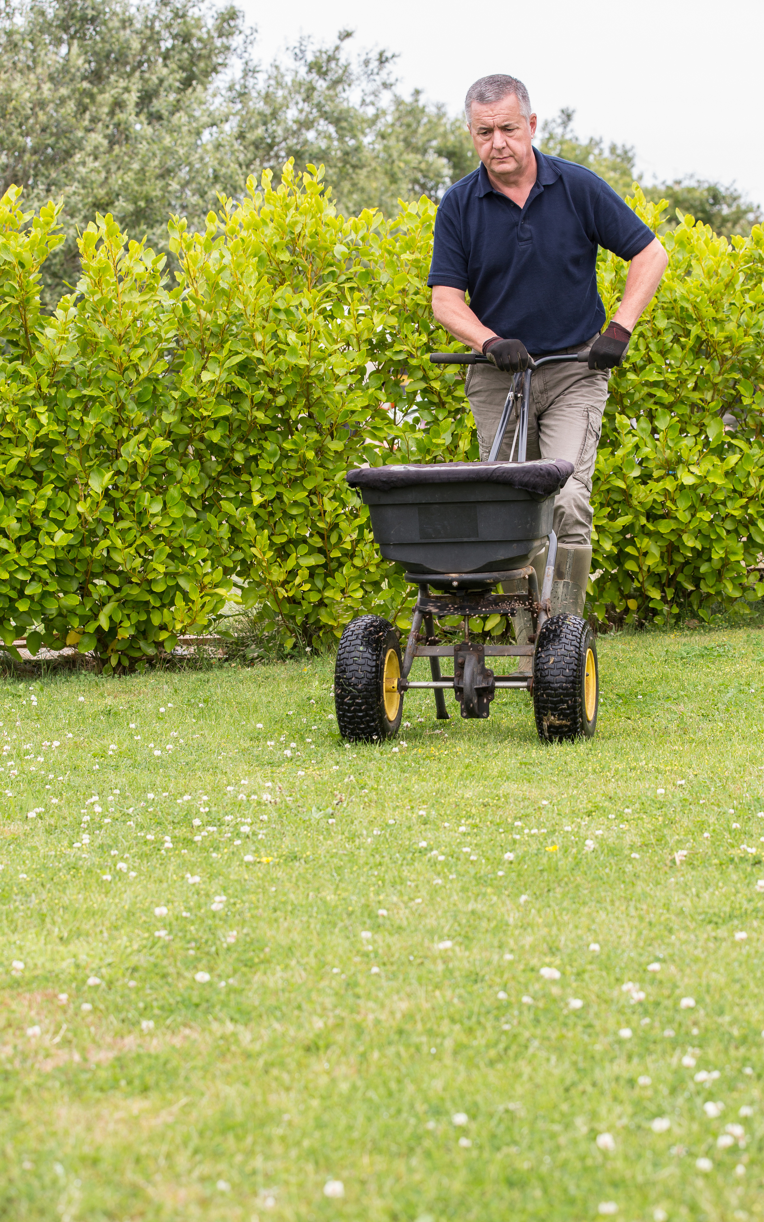 Feed your lawn (Thinkstock/PA)