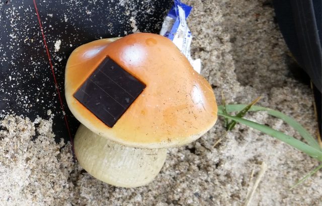 Among the more unusual things found on British beaches is a solar panel mushroom (The Plastic Tide/PA)