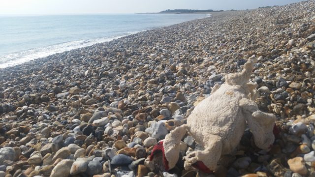 Odd items found on British beaches include a headless teddy bear (The Plastic Tide/PA)