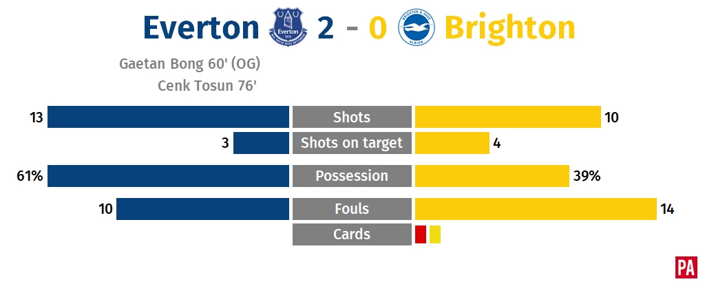 Everton 2 Brighton 0