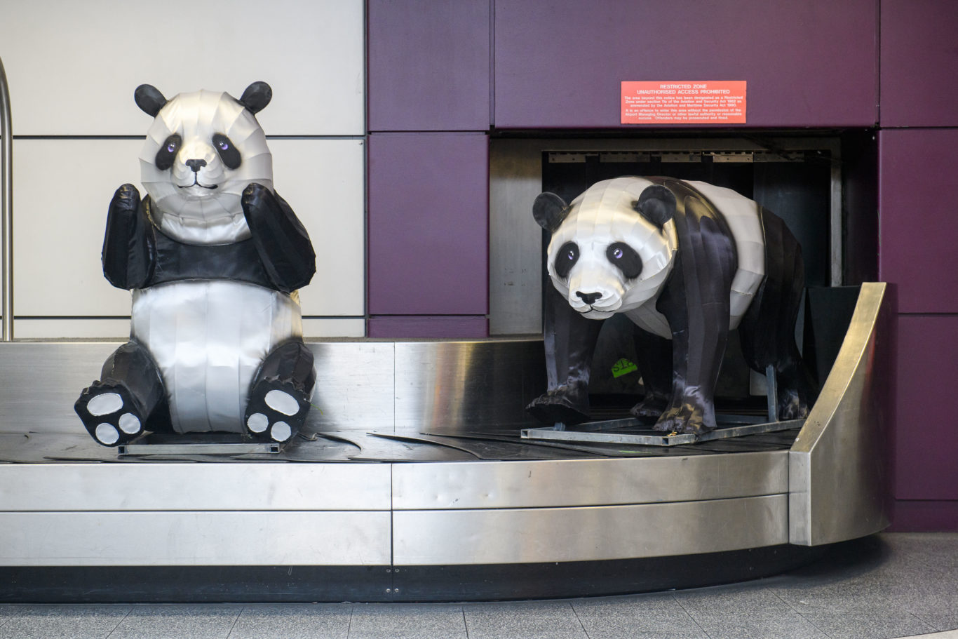 Edinburgh is home to two giant pandas from China (Ian Georgeson/PA)