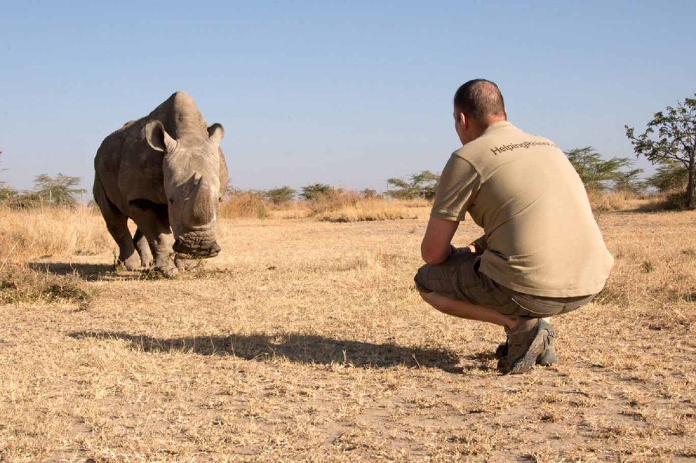 World’s last male northern white rhino dies | Express & Star