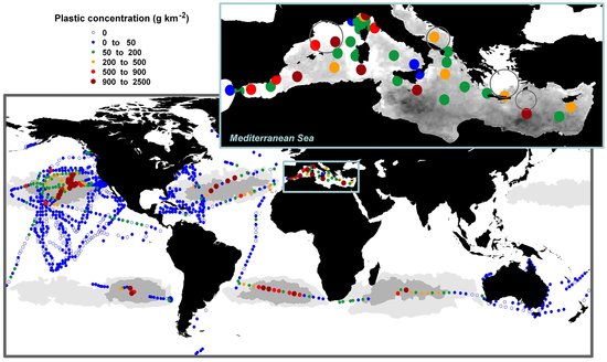 Marine litter