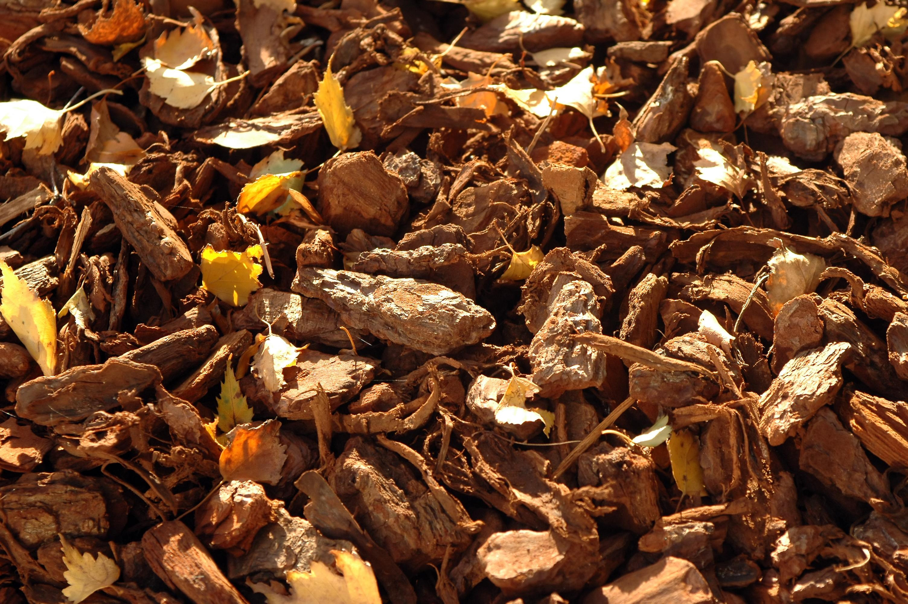 Leaf and bark mulch. (Thinkstock/PA)