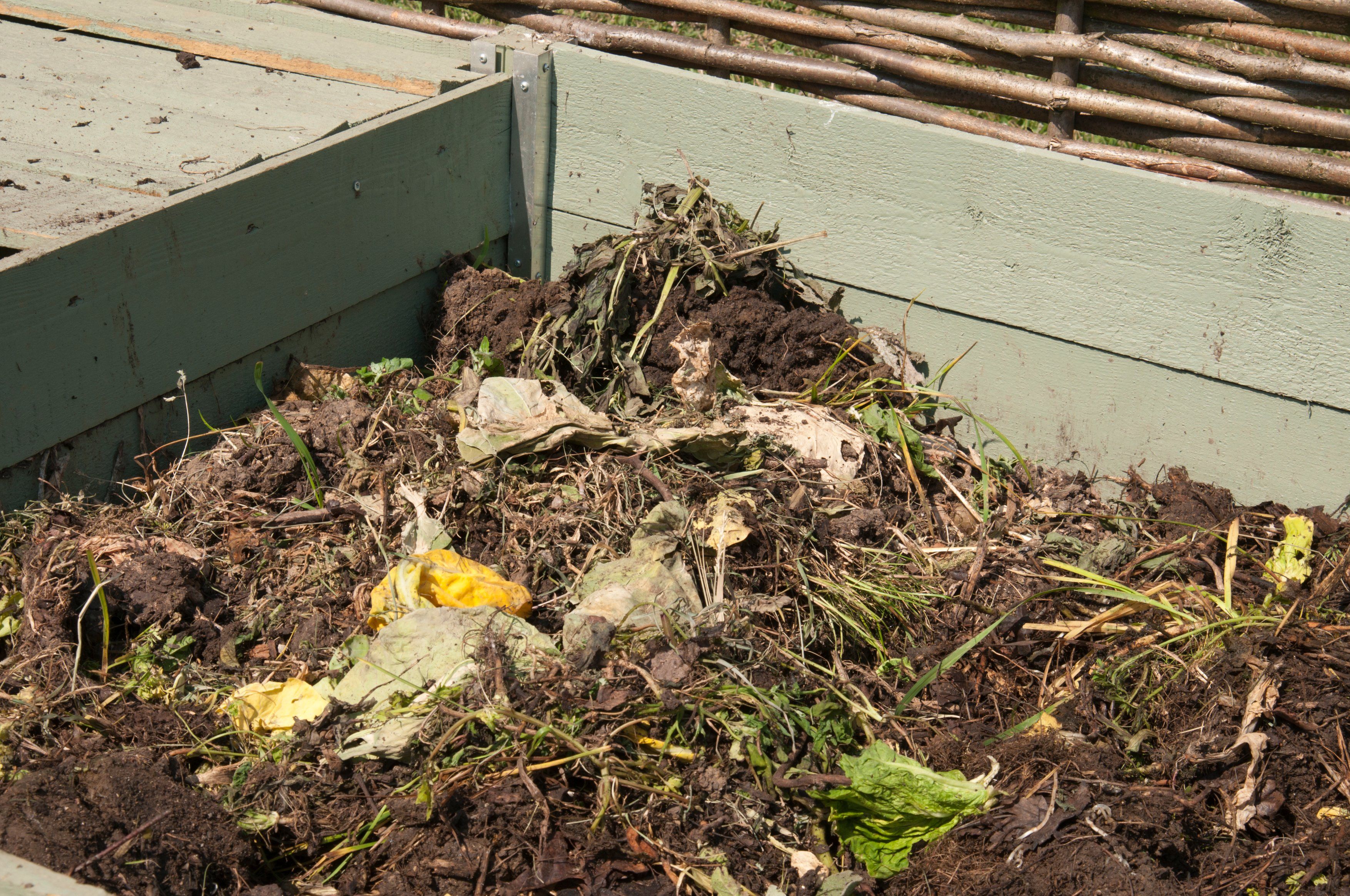 Add compost when planting. (Tim Sandall/RHS/PA)