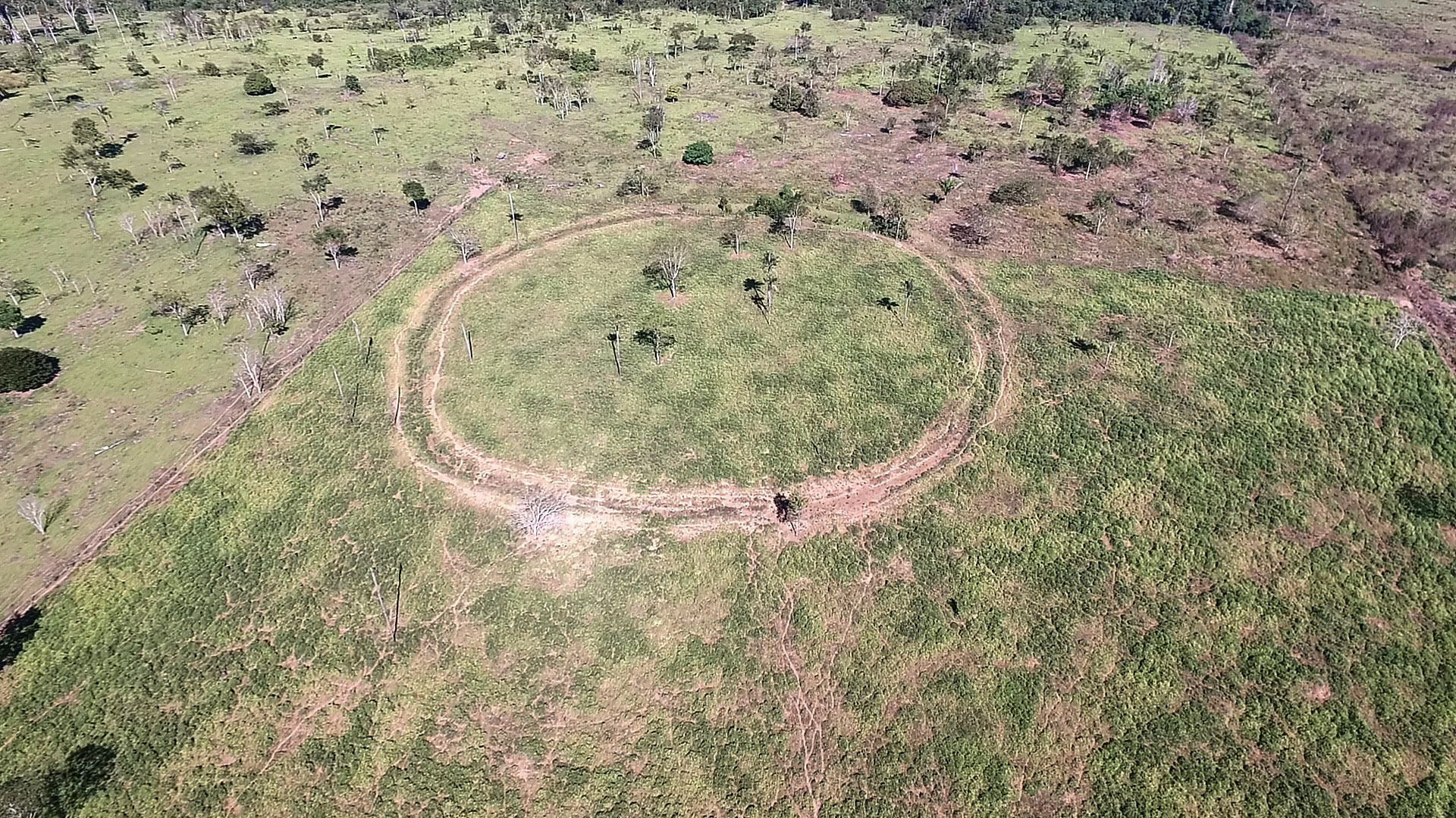 Earthworks in the Brazilian Amazon (University of Exeter/PA)