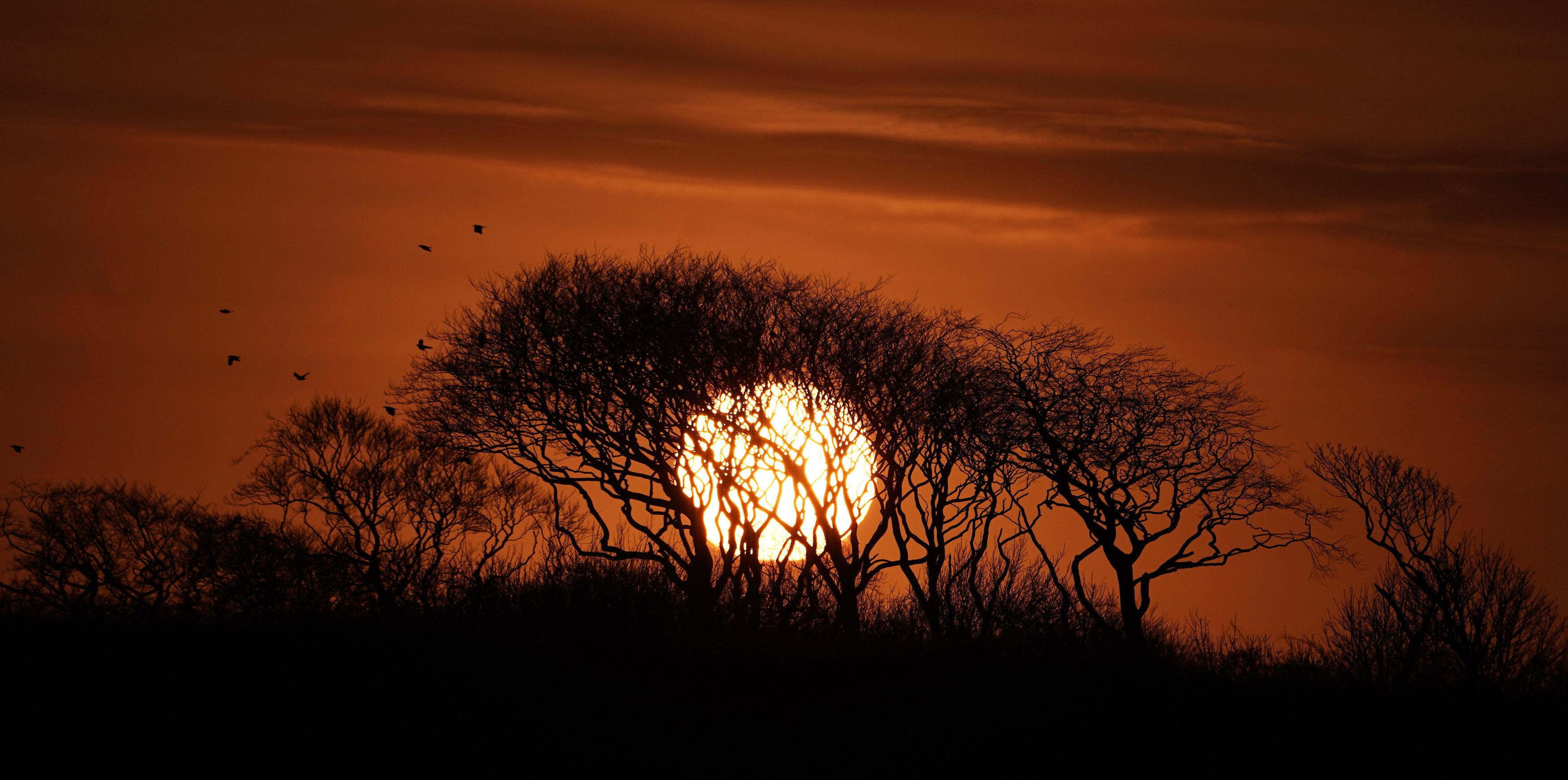 The sun sets in Whitley Bay, Northumberland