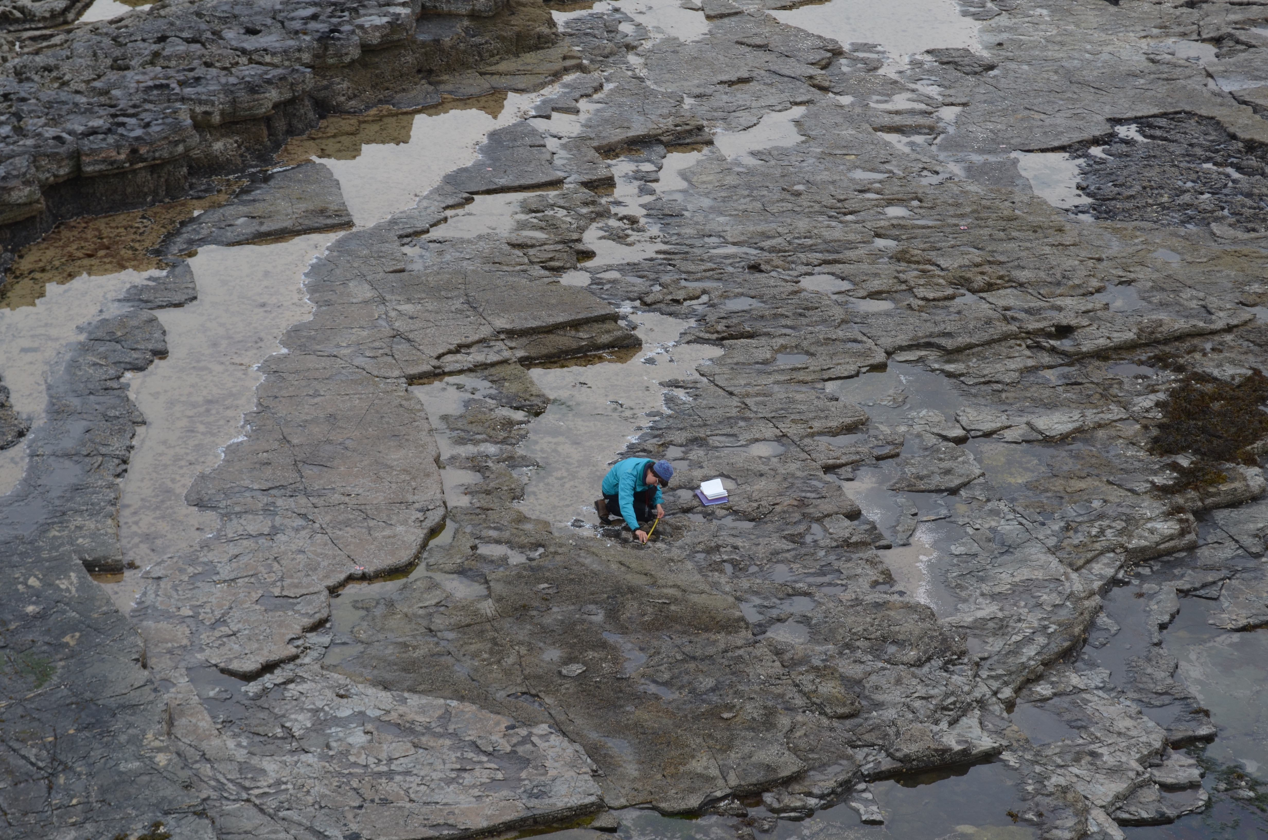 Scientist Paige dePolo at Brothers' Point during the fieldwork (Shasta Marrero)