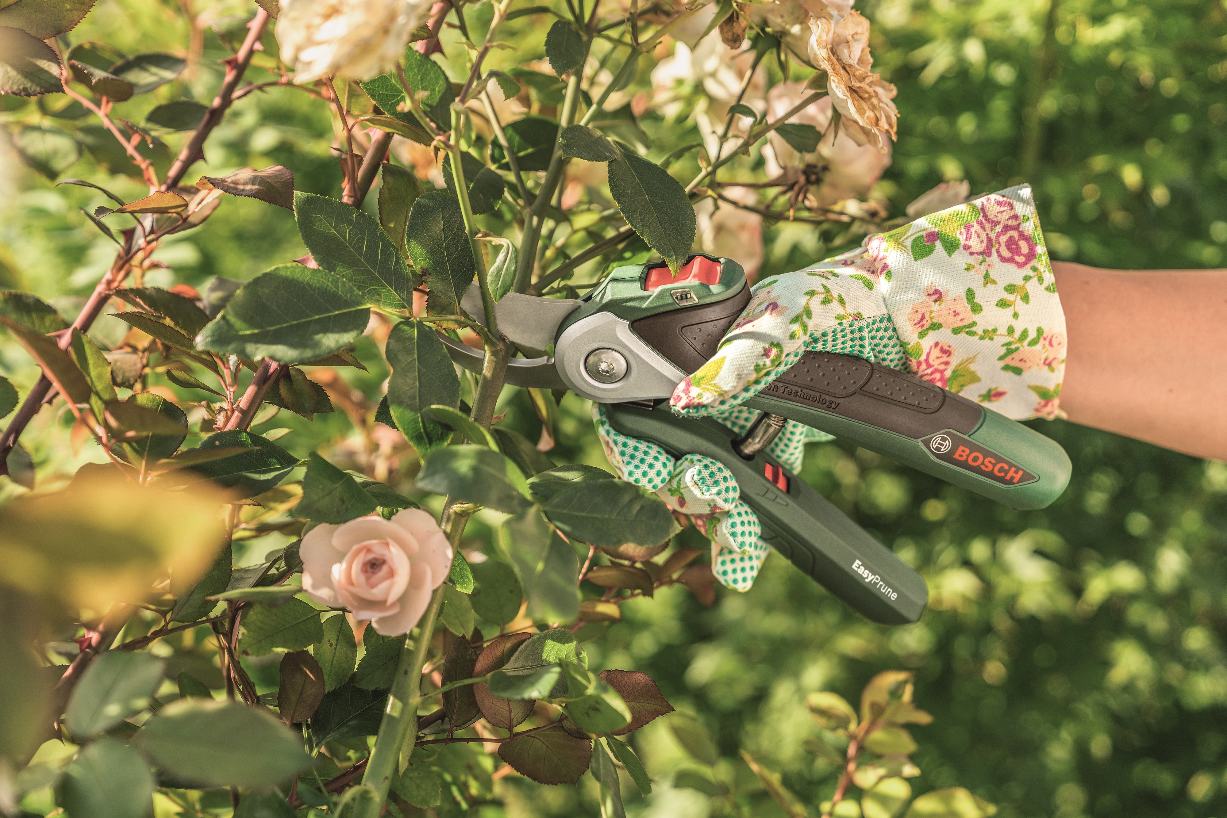 EasyPrune power-assisted secateurs. (Bosch/PA)