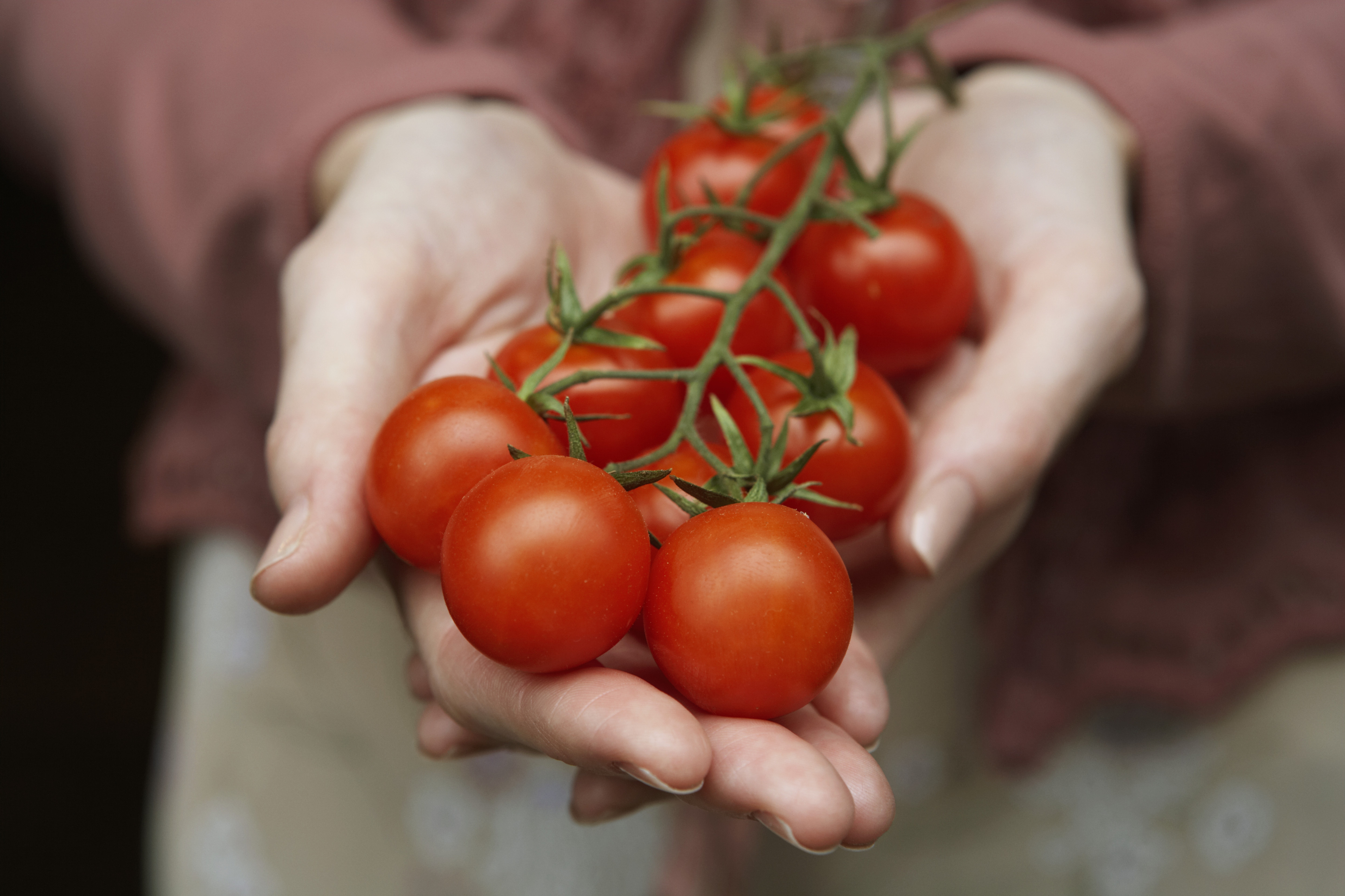 A generic photo of a woman holding tomatoes in her hands. See PA Feature TOPICAL Health Heart. Picture credit should read: PA Photo/thinkstockphotos. WARNING: This picture must only be used to accompany PA Feature TOPICAL Health Heart.