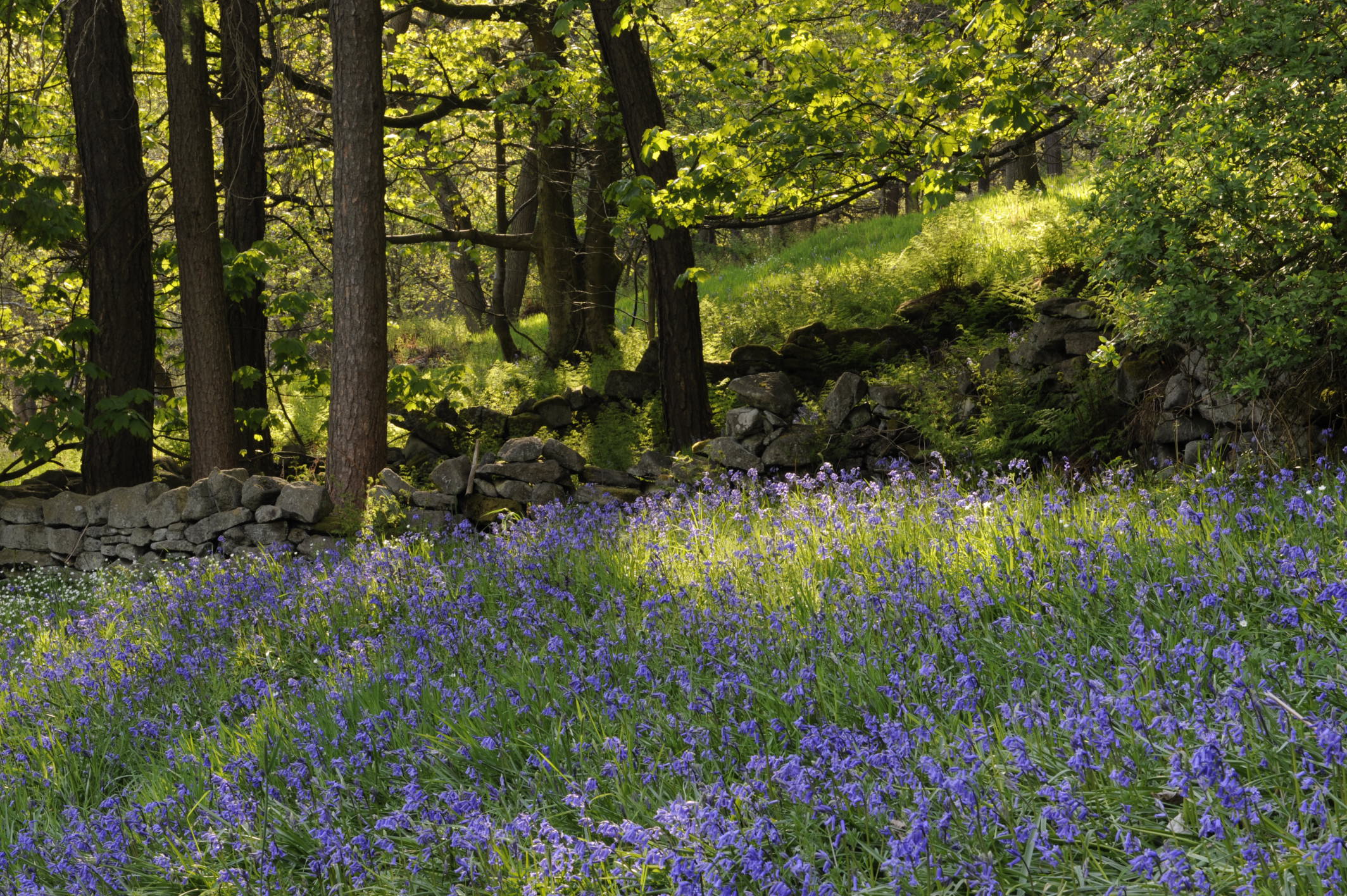 Hardcastle Crags