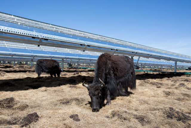 Apple's renewable energy target.