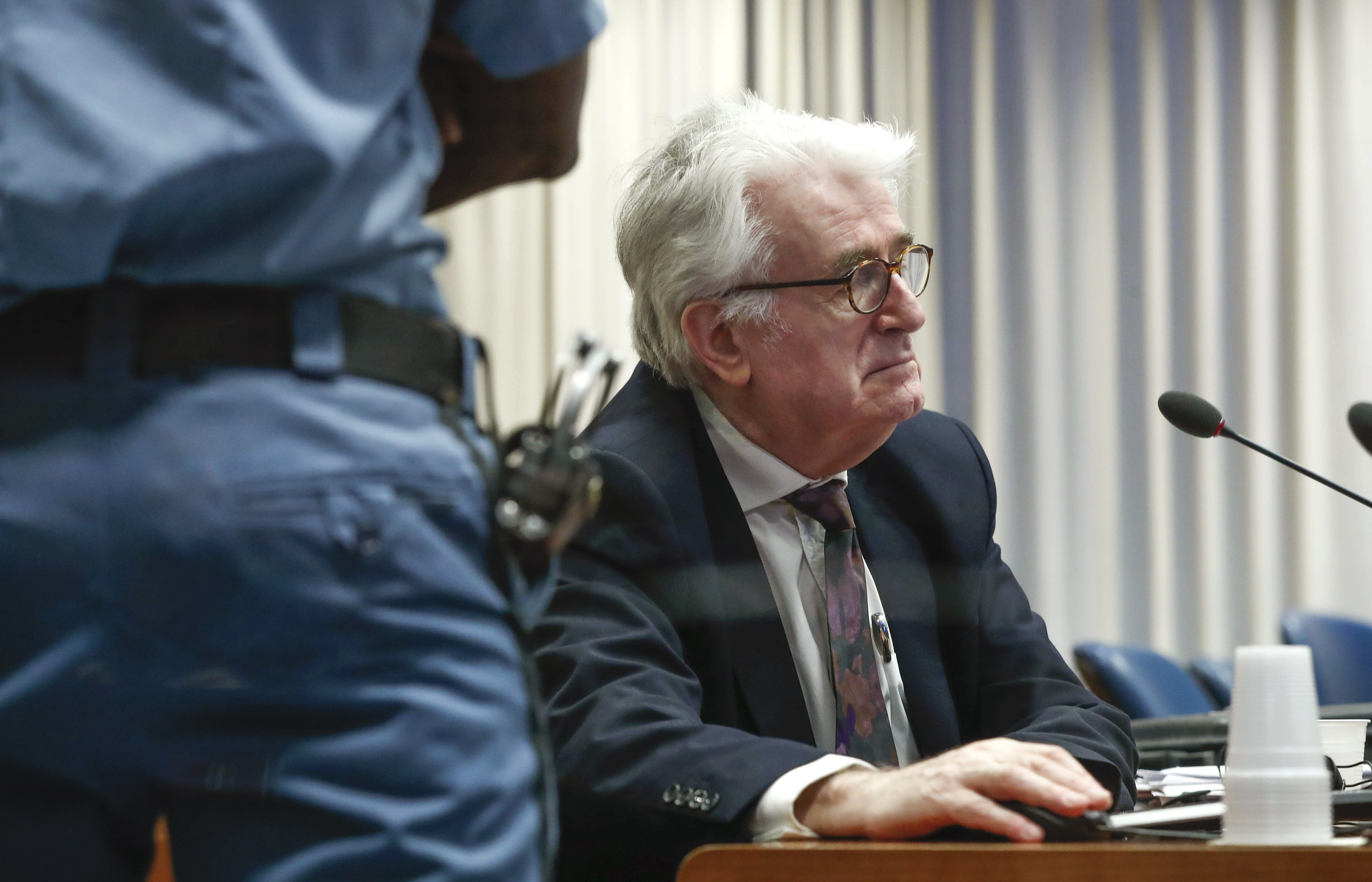 Former Bosnian Serb leader Radovan Karadzic (Yves Herman, pool photo via AP)