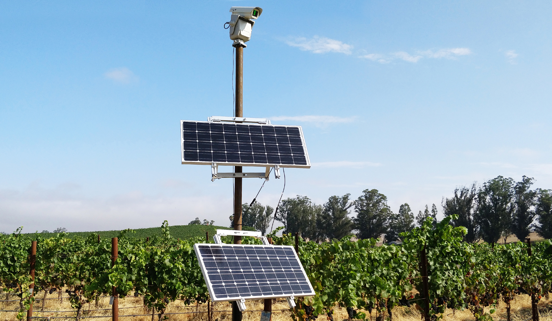 The Agrilaser Autonomic from Bird Control Group at Griffin's Lair, Sonoma Country, California (Bird Control Group)