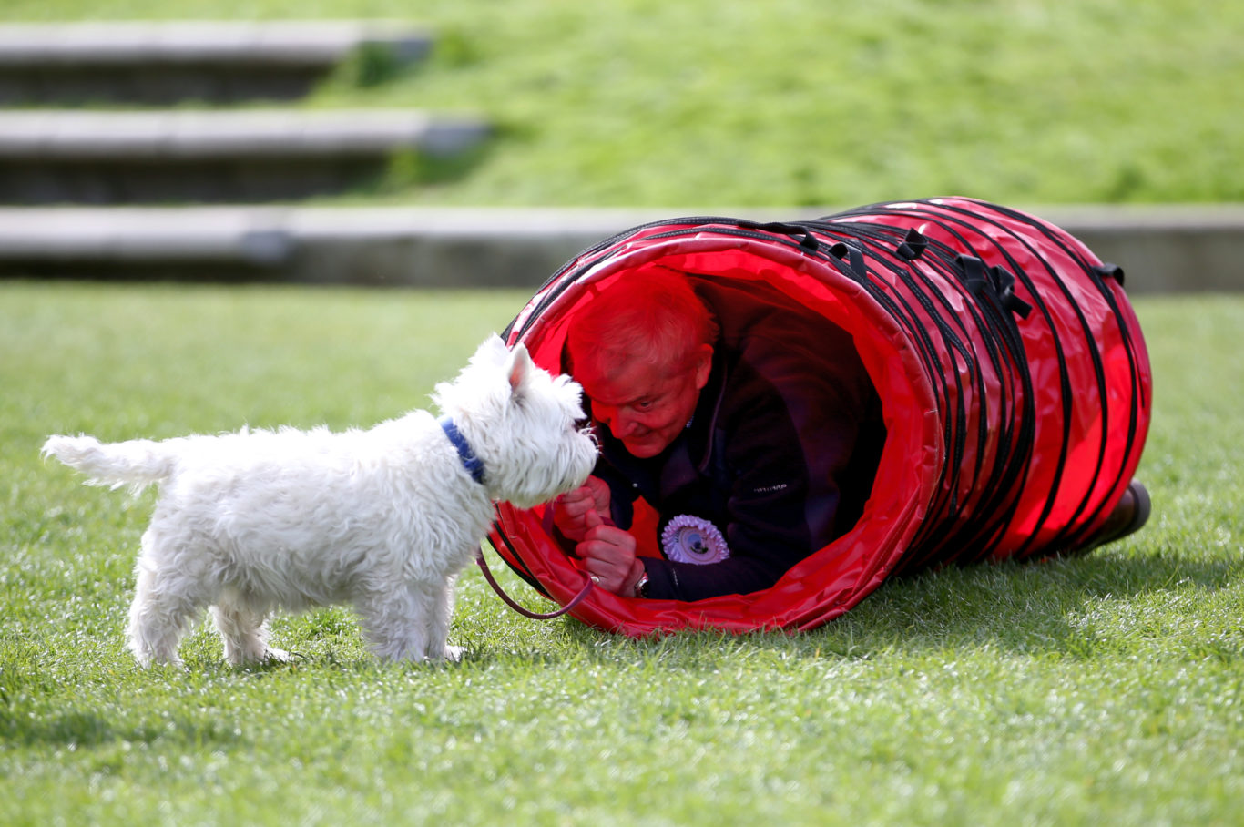 Politician Maurice Corry MSP and his dog Bobby tackle the obstacle course  (Jane Barlow/PA)