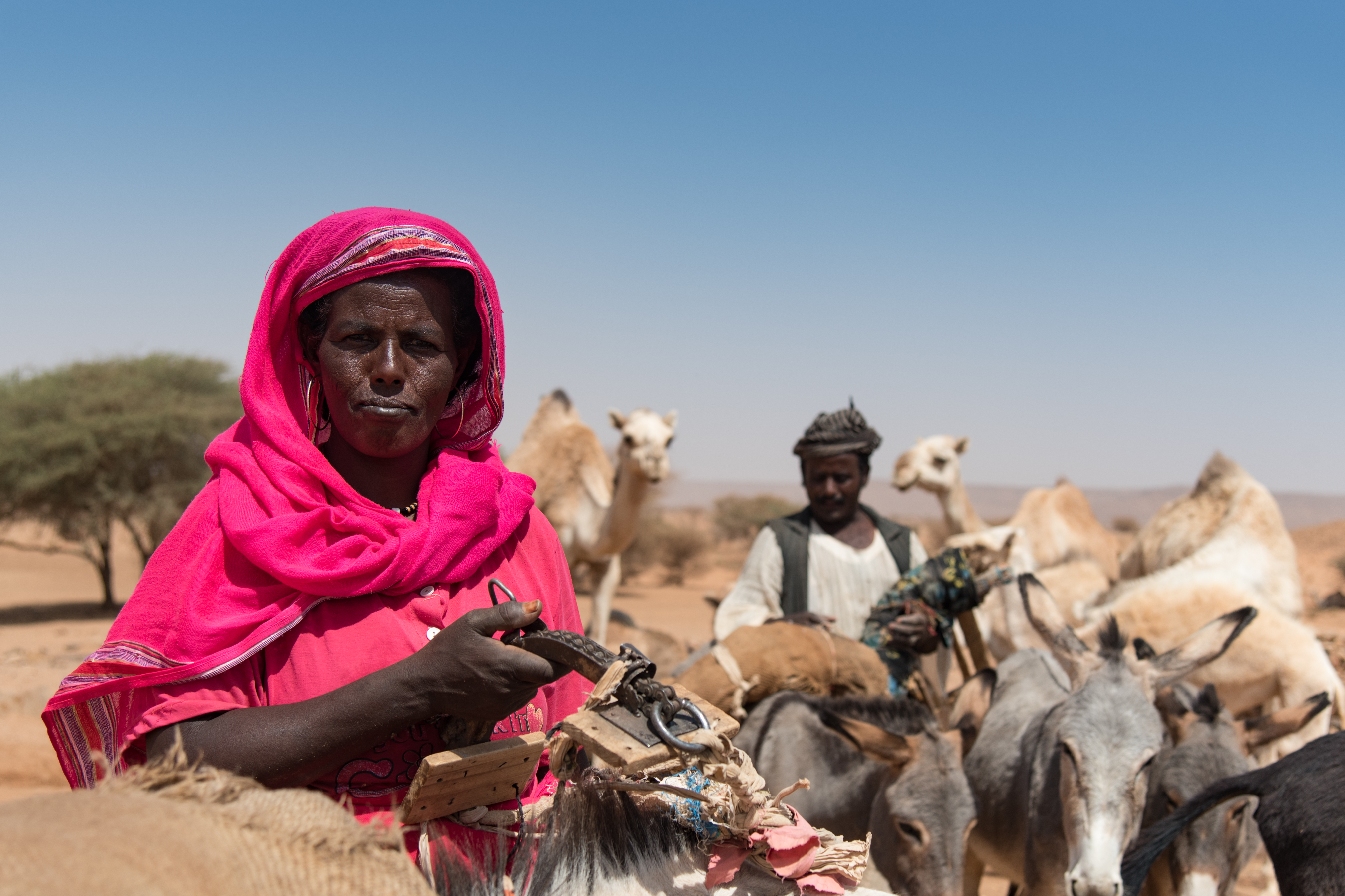 A nomadic woman collects water from a well (Sarah Marshall/PA)