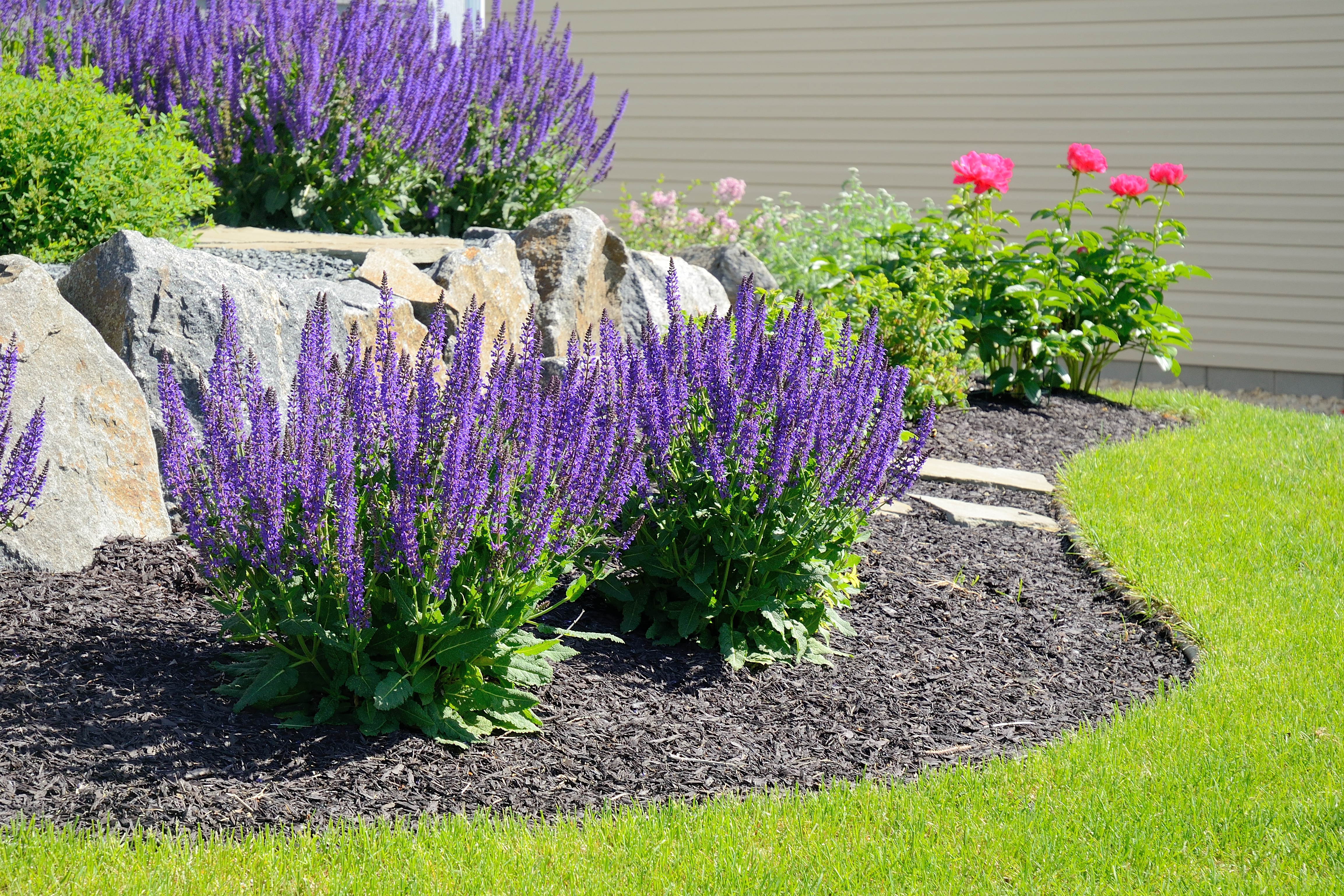 Lay a mulch to keep moisture in (Thinkstock/PA)