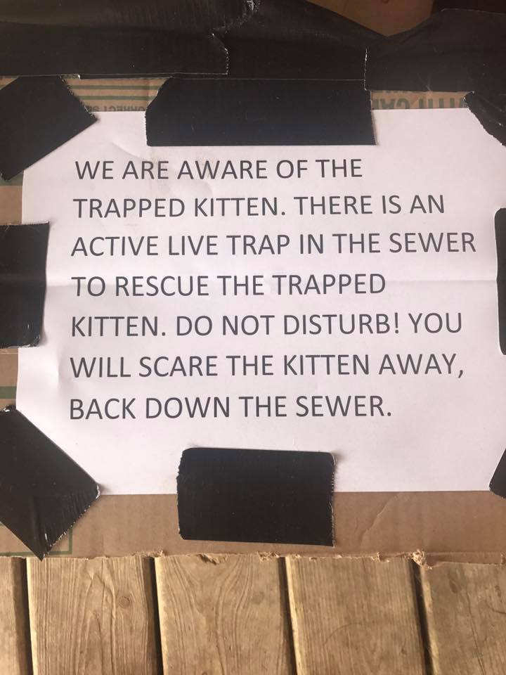 Note placed on a storm drain which reads #we are aware of the trapped kitten. there is an active live trap in the sewer to rescue the trapped kitten. do not disturb! you will scare the kitten away, back down the sewer'.