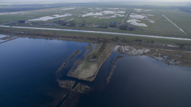 Thousands of birds were forced away from the wetlands after spring flooding (Louise Clewley/WWT/PA)