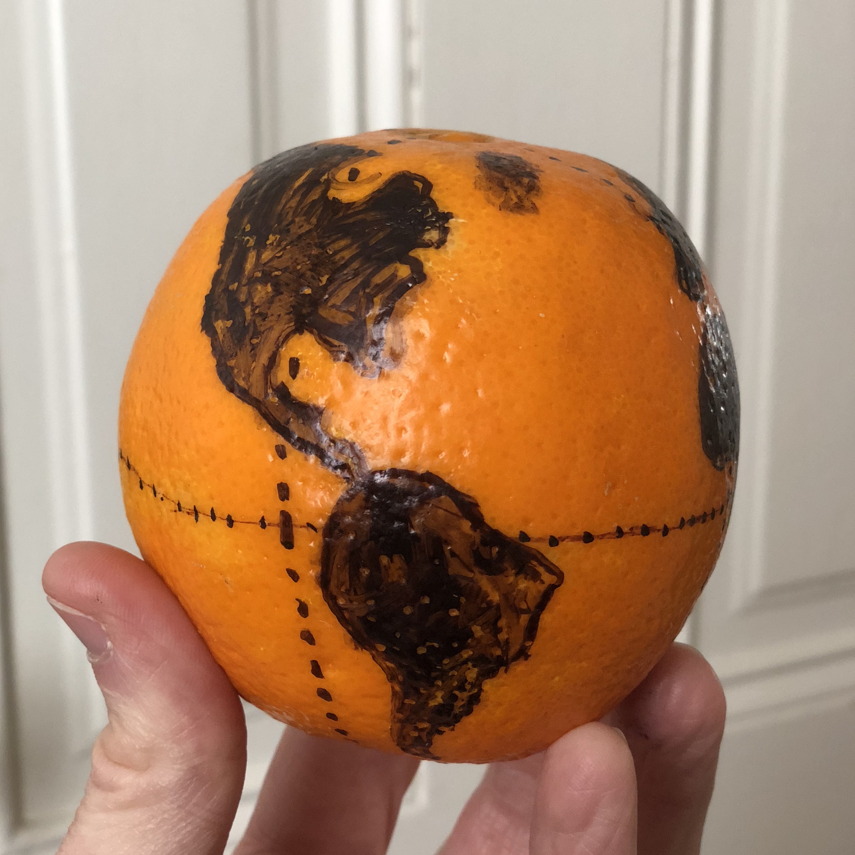 A globe drawn out on to an orange (RJ Andrews/@InfoWeTrust)