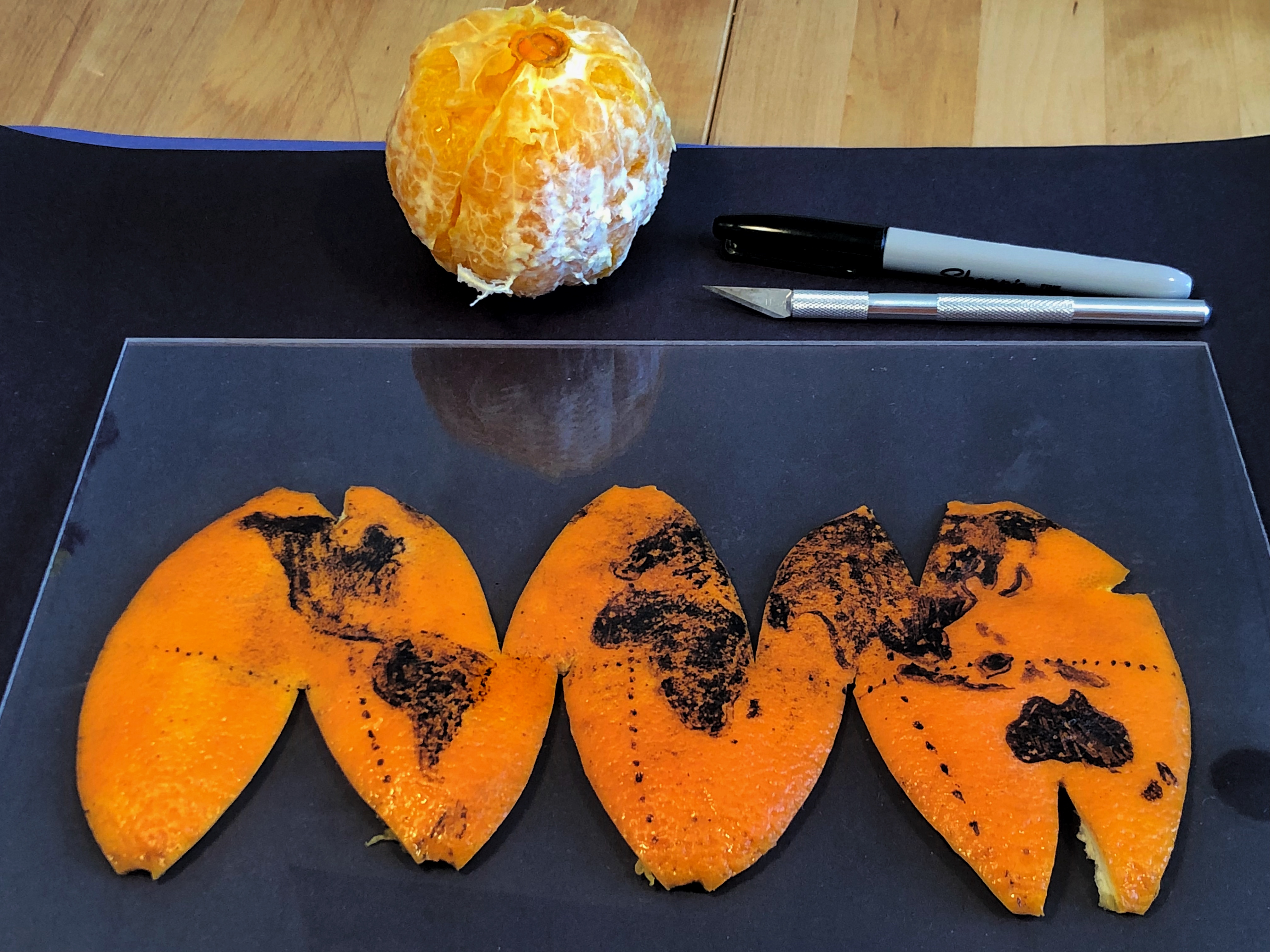 A globe drawn out on to an orange which has then been peeled to produce a flat map (RJ Andrews/@InfoWeTrust)