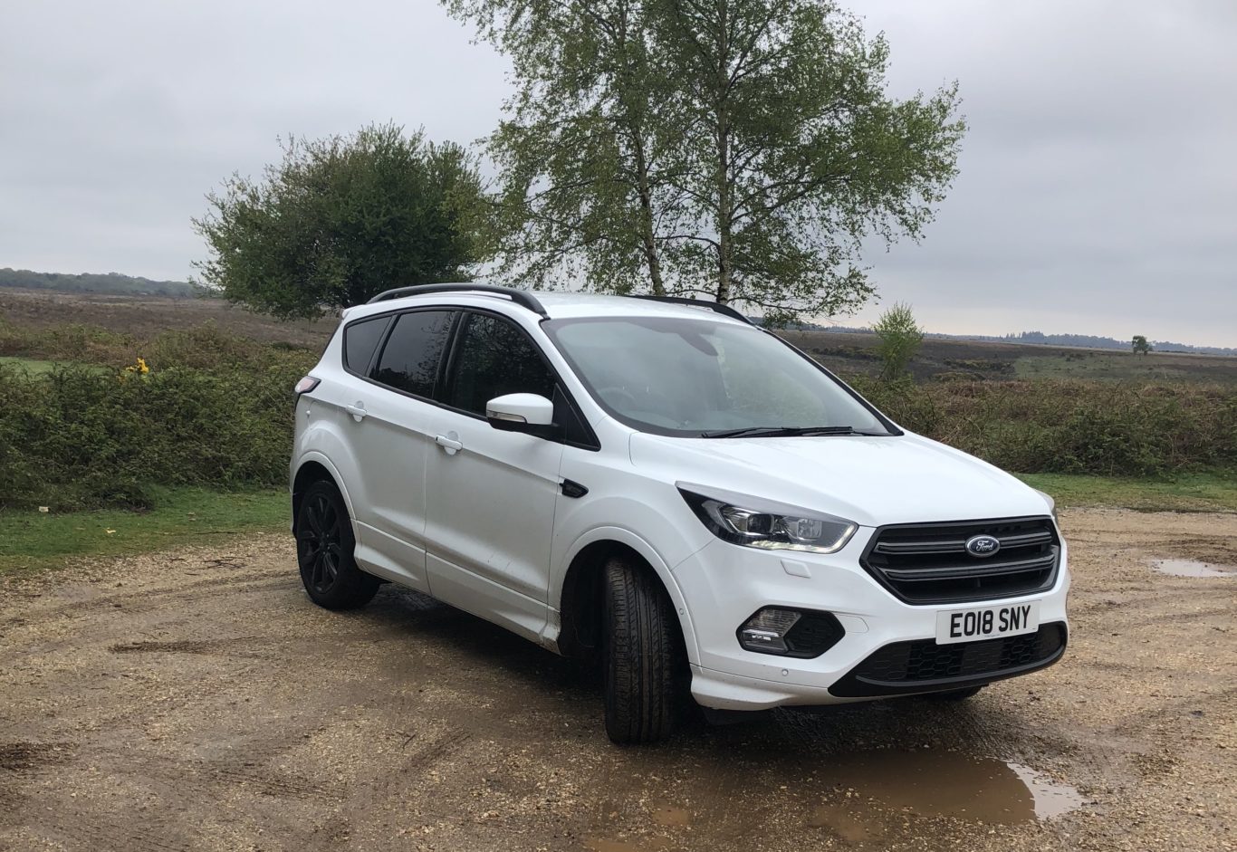 The Kuga should return excellent economy figures