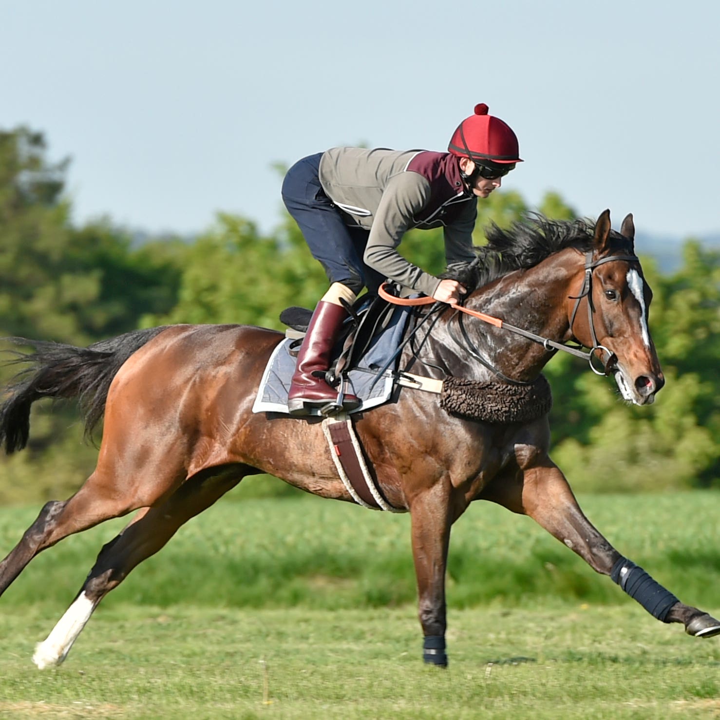 Limato and Harry Bentley (Francesca Altoft)