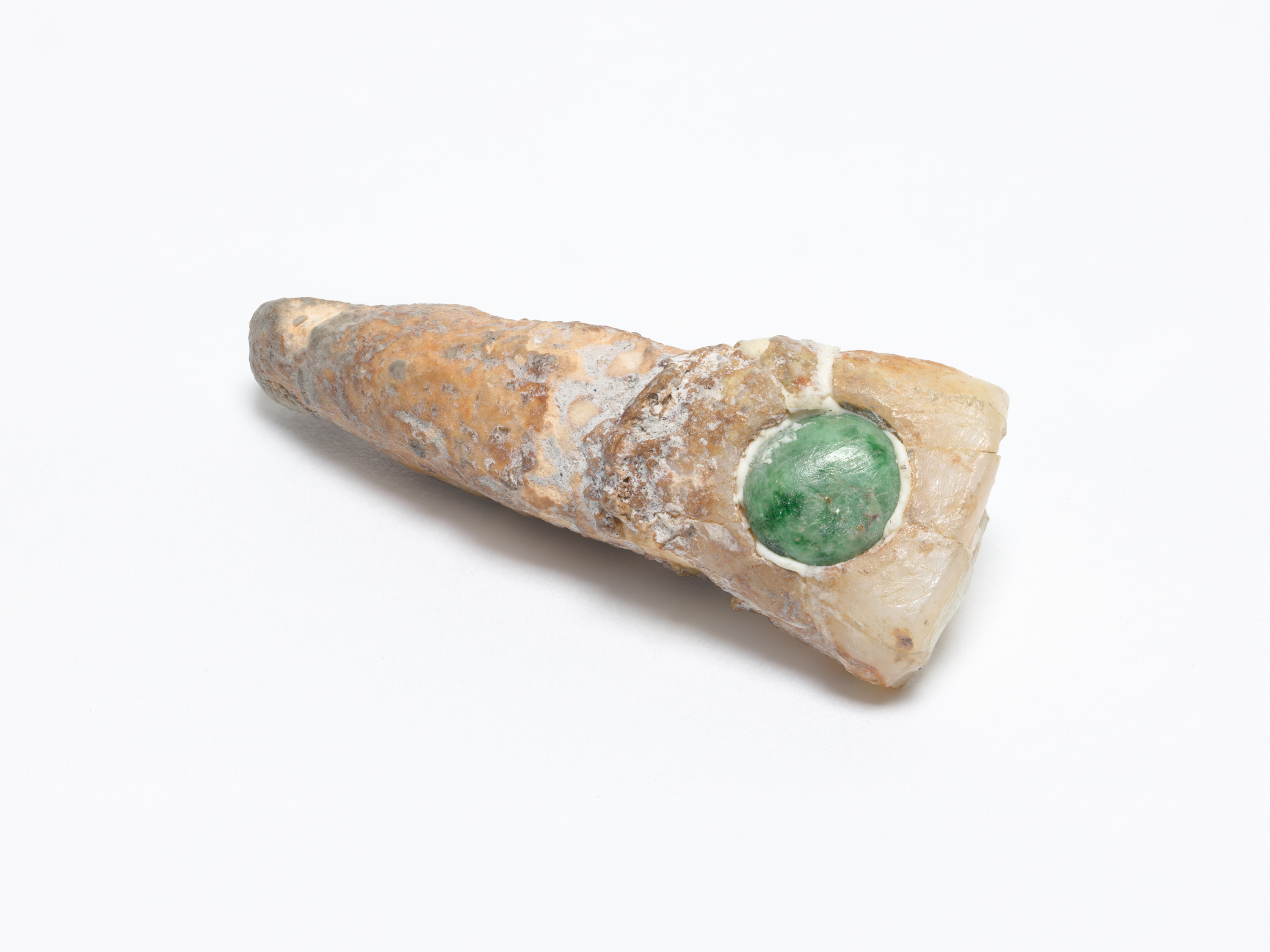 A Mayan human tooth with jade inlay (British Dental Association Museum)