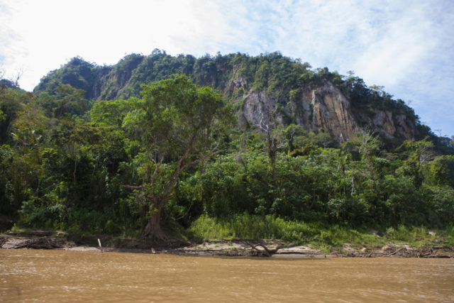 Madidi National Park in Bolivia.