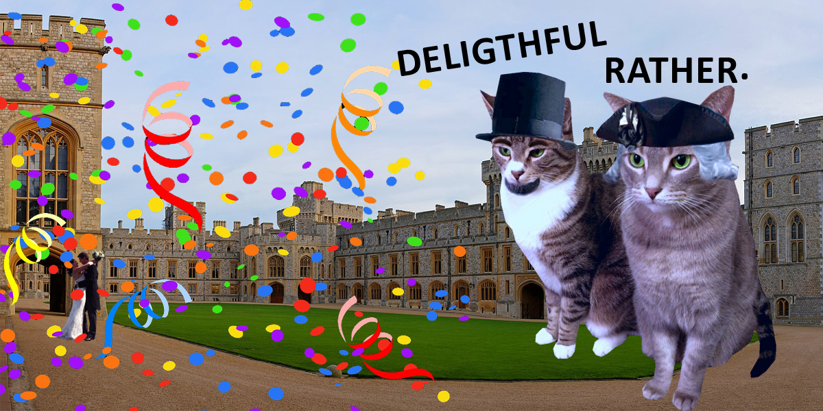 News By Cats gives its unique take on The Royal Wedding of Prince Harry and Meghan Markle (NewsbyCats.com)