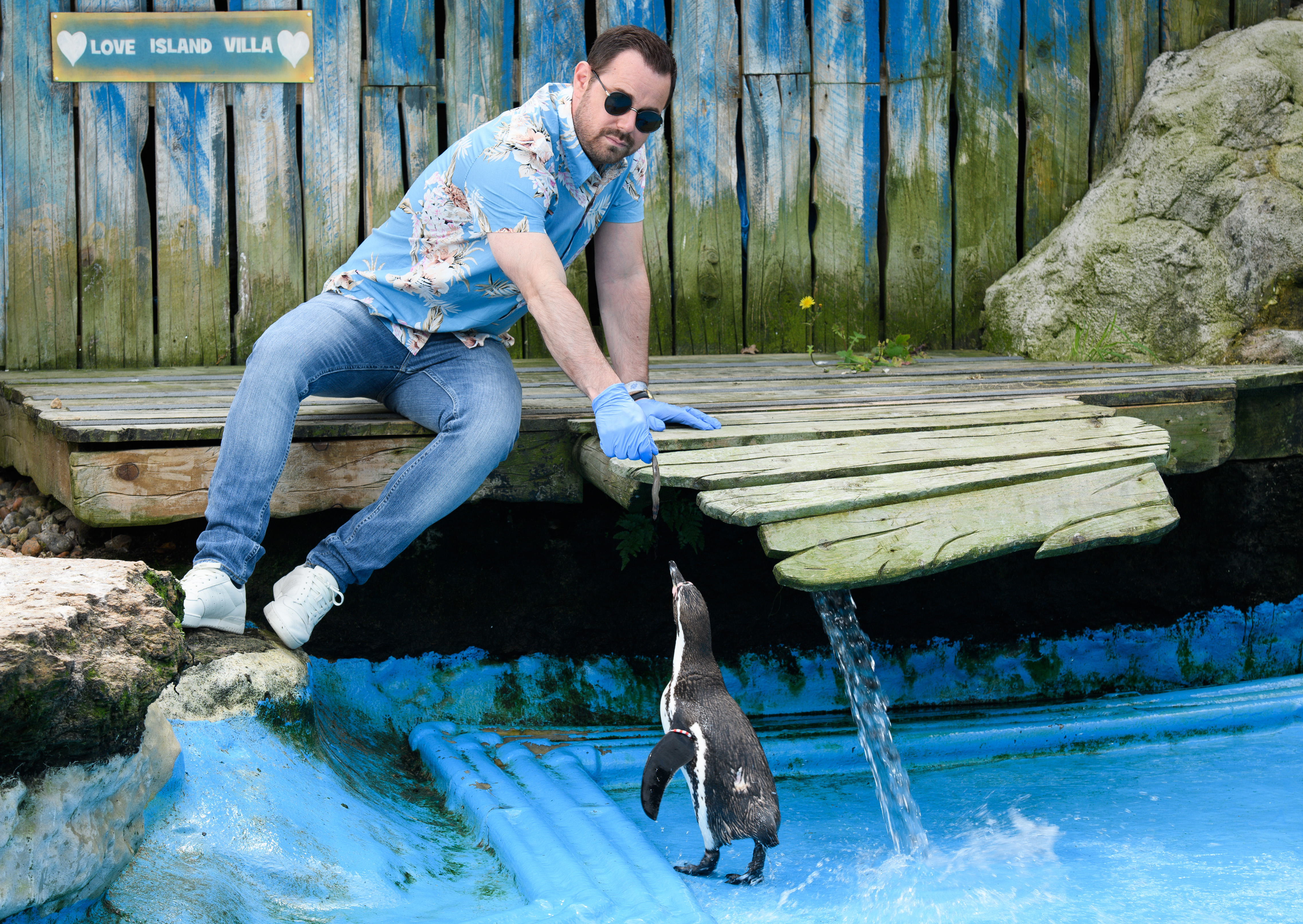  Danny Dyer visits Chessington World of Adventures Resort to launch Penguin Love Island (Chessington World of Adventure Resort)