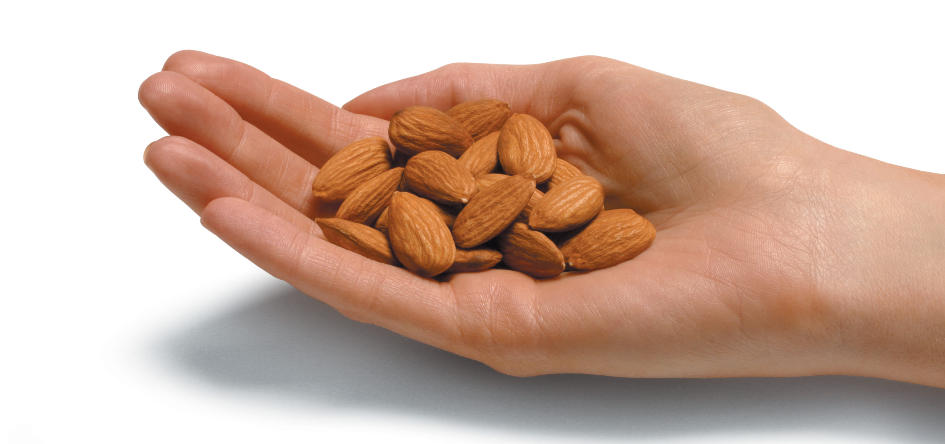 hand holding almonds