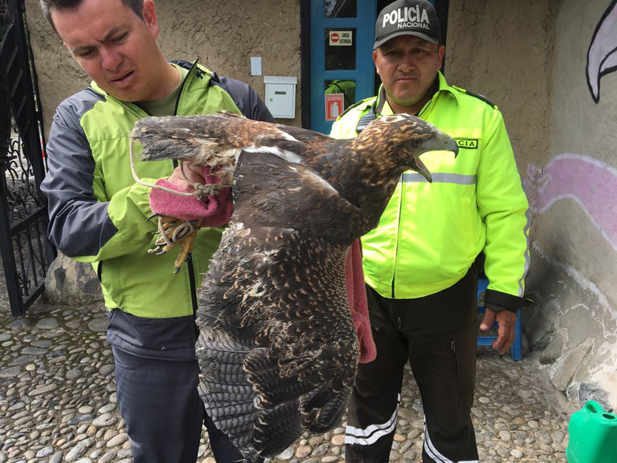 Ecuadorian police officers inspect a bird of prey