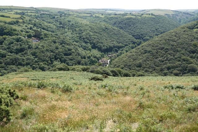 The National Trust has been working in the Heddon Valley, one of the butterfly's strongholds, to help save it from extinction (Alex Raeder/National Trust/PA)