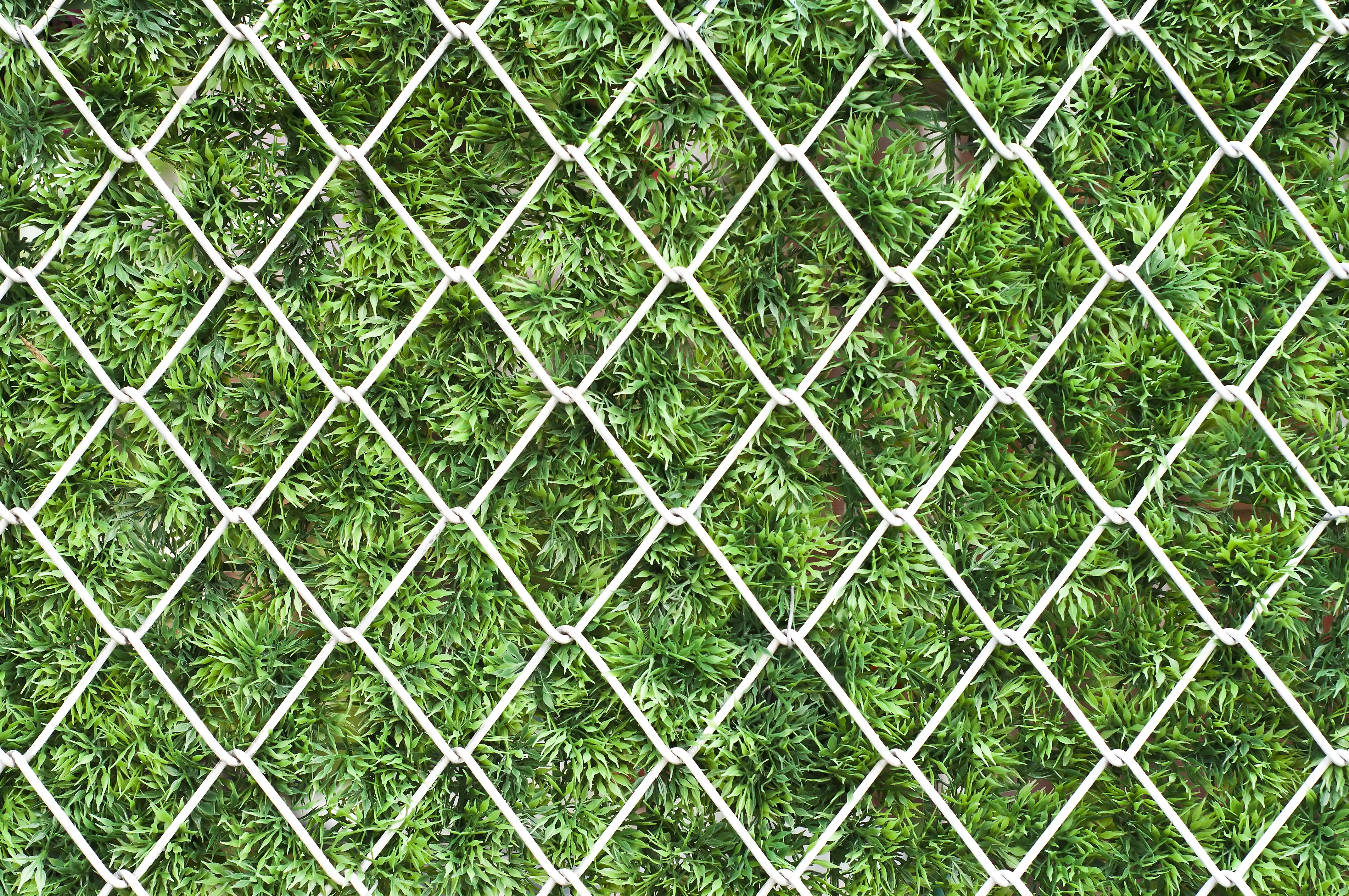 Wire fencing (Thinkstock/PA)