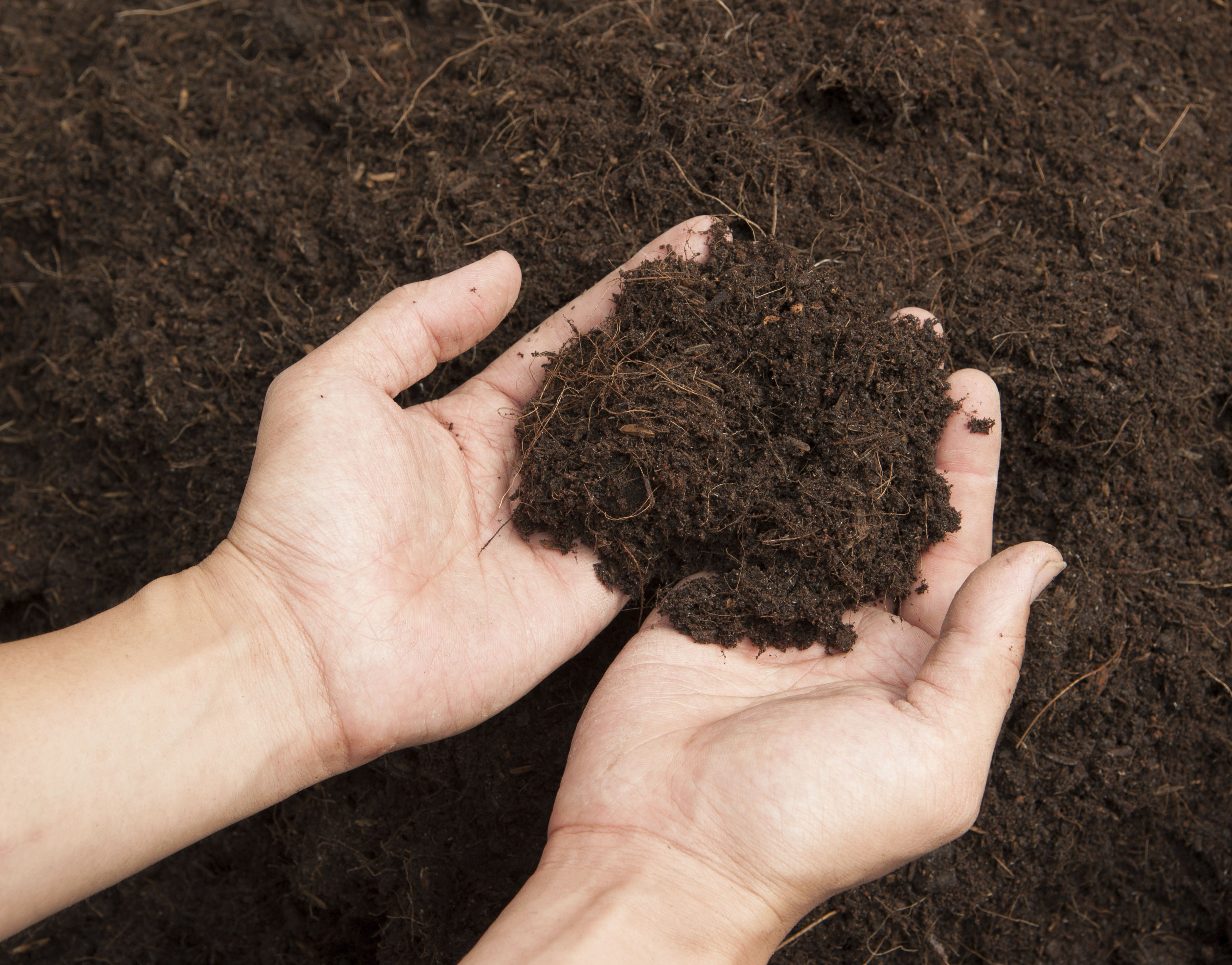Test your soil (Thinkstock/PA)