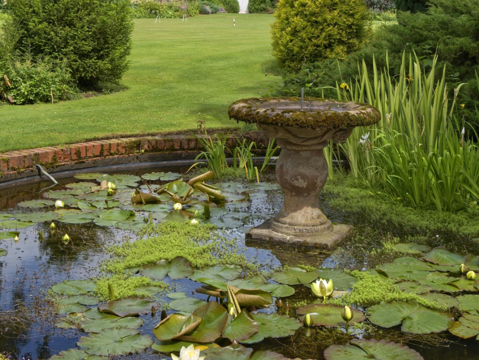 A pond can cool things down (Thinkstock/PA)