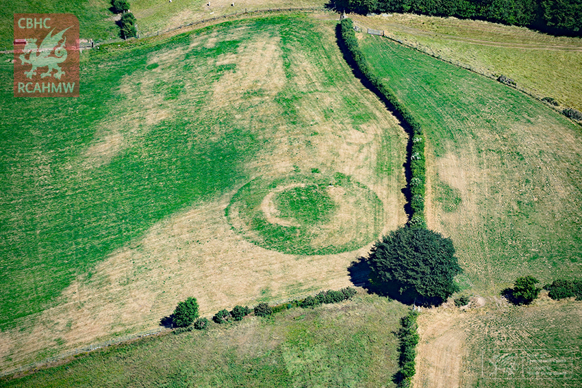 The almost ploughed-down medieval castle mound at Castell Llwyn Gwinau, Tregaron, showing clearly under parched conditions. (RCAHMW)