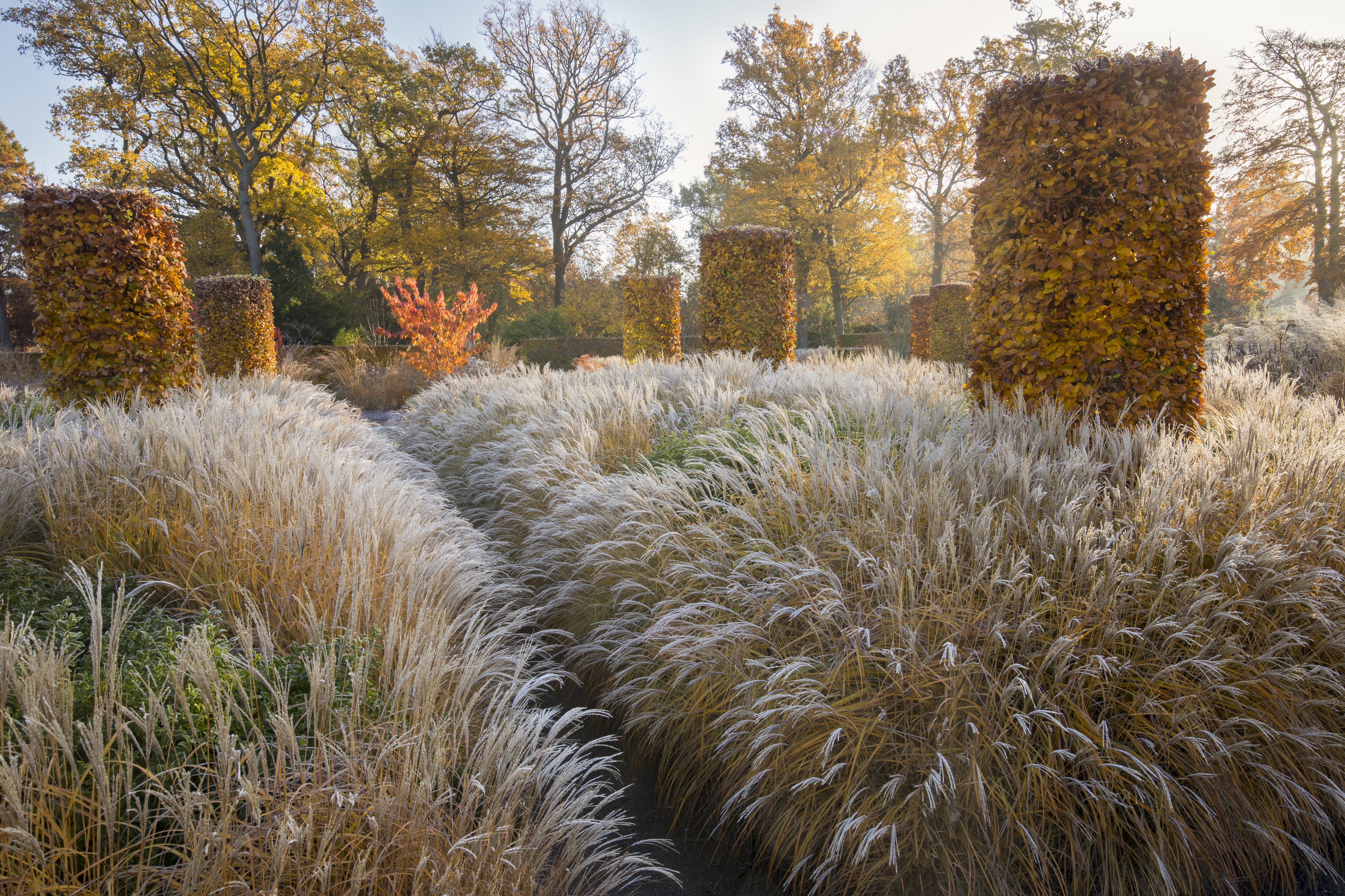 The Soft Hues of Autumn at RHS Wisley by Marianne Majerus wins the Celebrating Gardens category (Marianne Majerus/PA)