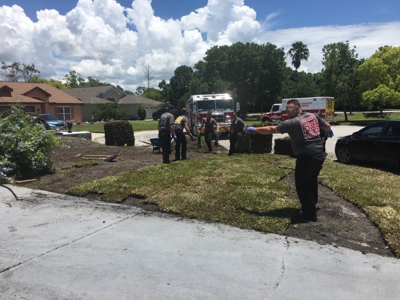 The rescue services working on the garden