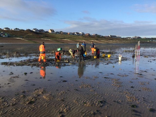 It is hoped an excavation this week will turn up personal effects and cargo of the shipwreck (Mark Harrison, Timescapes/PA)