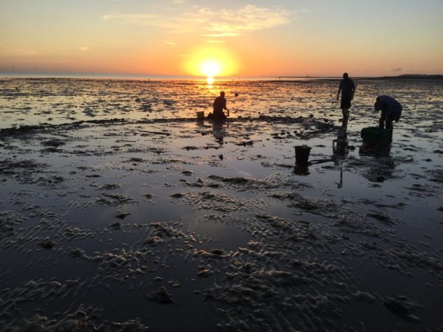 Local archaeology group volunteers saw timbers of the ship appearing out of the sand (Mark Harrison, Timescapes/PA)