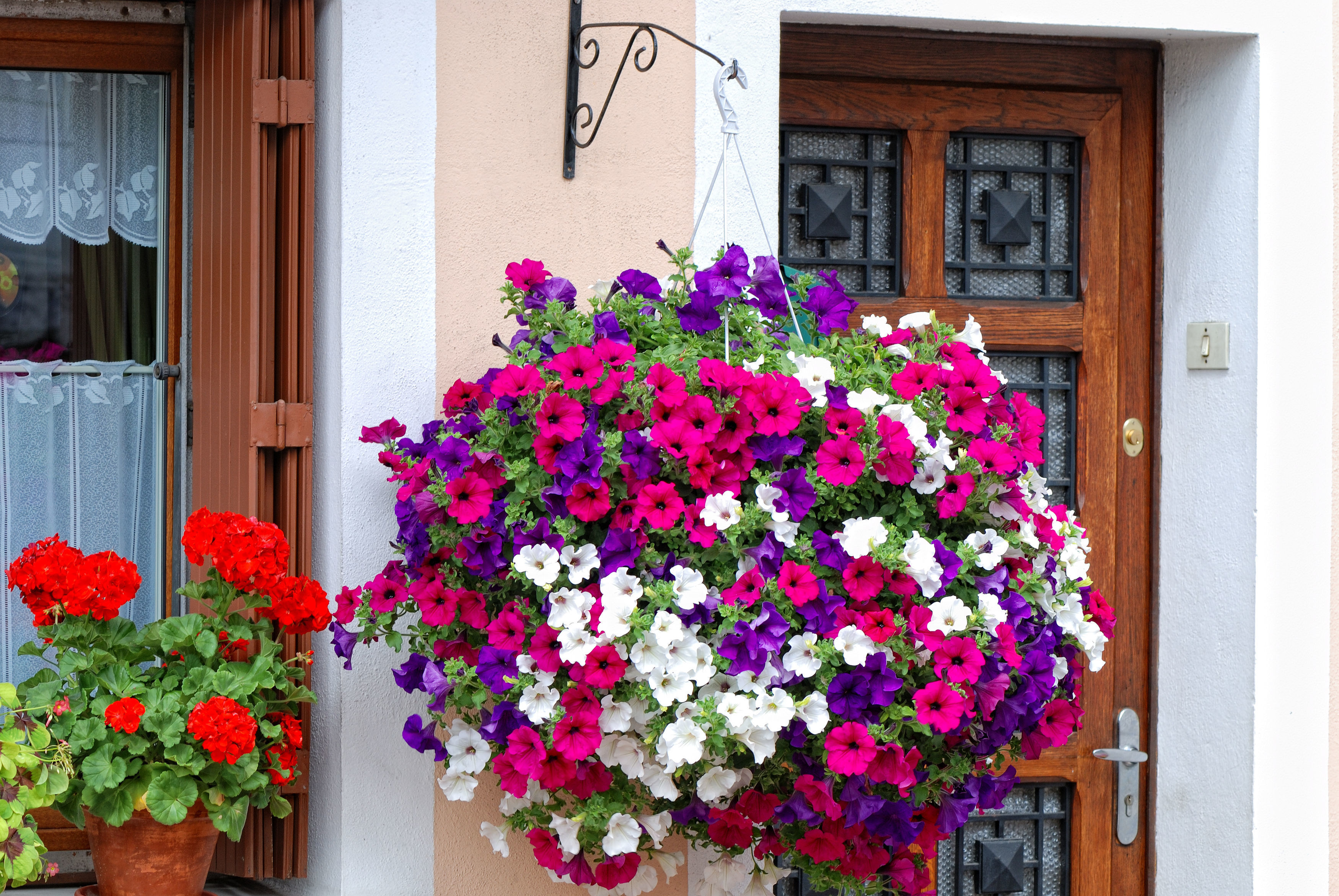 Put hanging baskets in the shade (Thinkstock/PA)