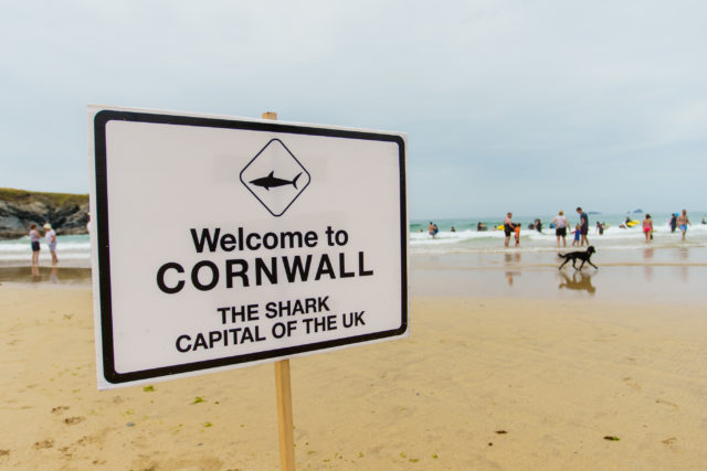A new 'shark map' names Cornwall as the shark capital of the UK (Lewis Harrison-Pinder/PinPep/PA)