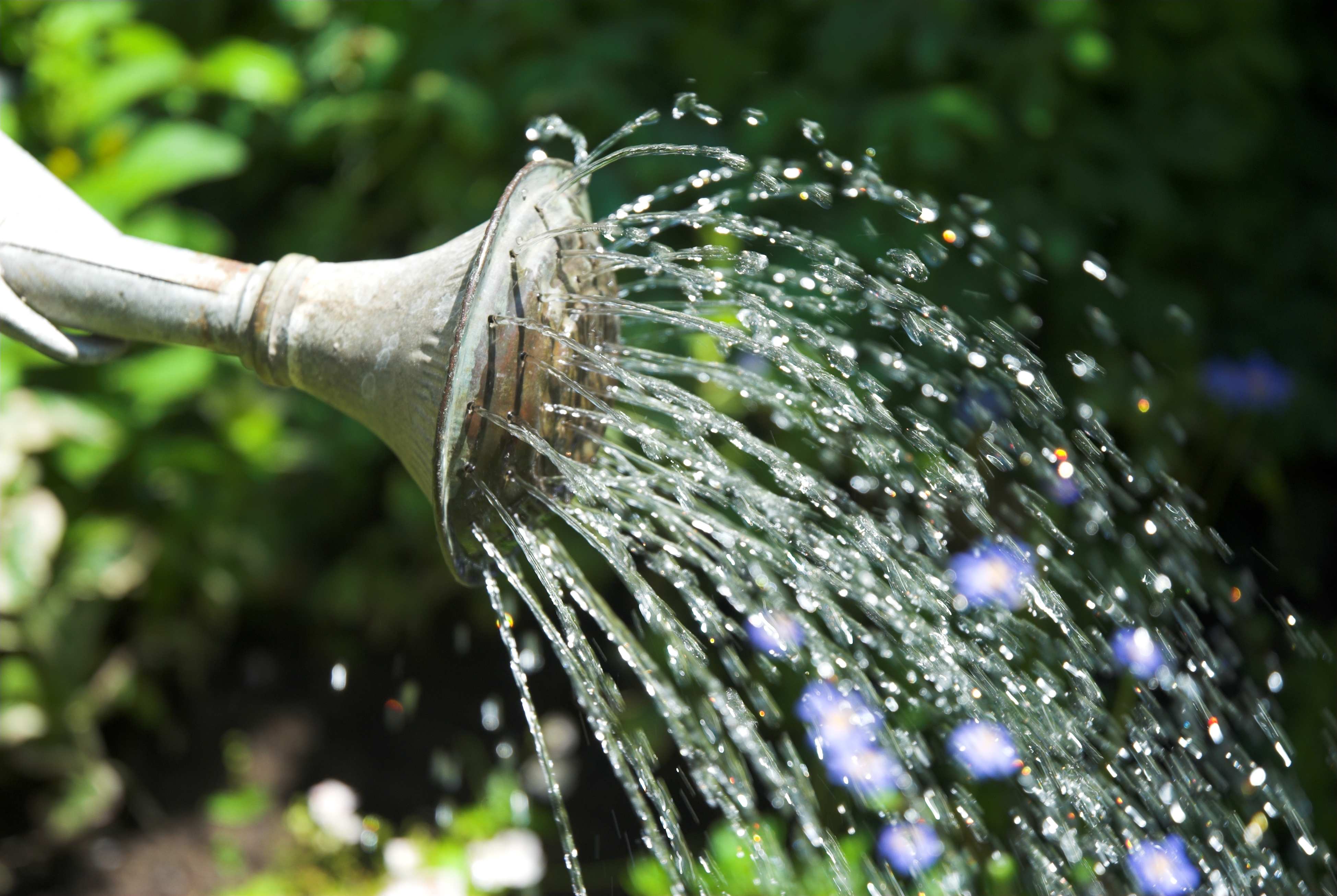 Water thoroughly rather than little and often (Thinkstock/PA)