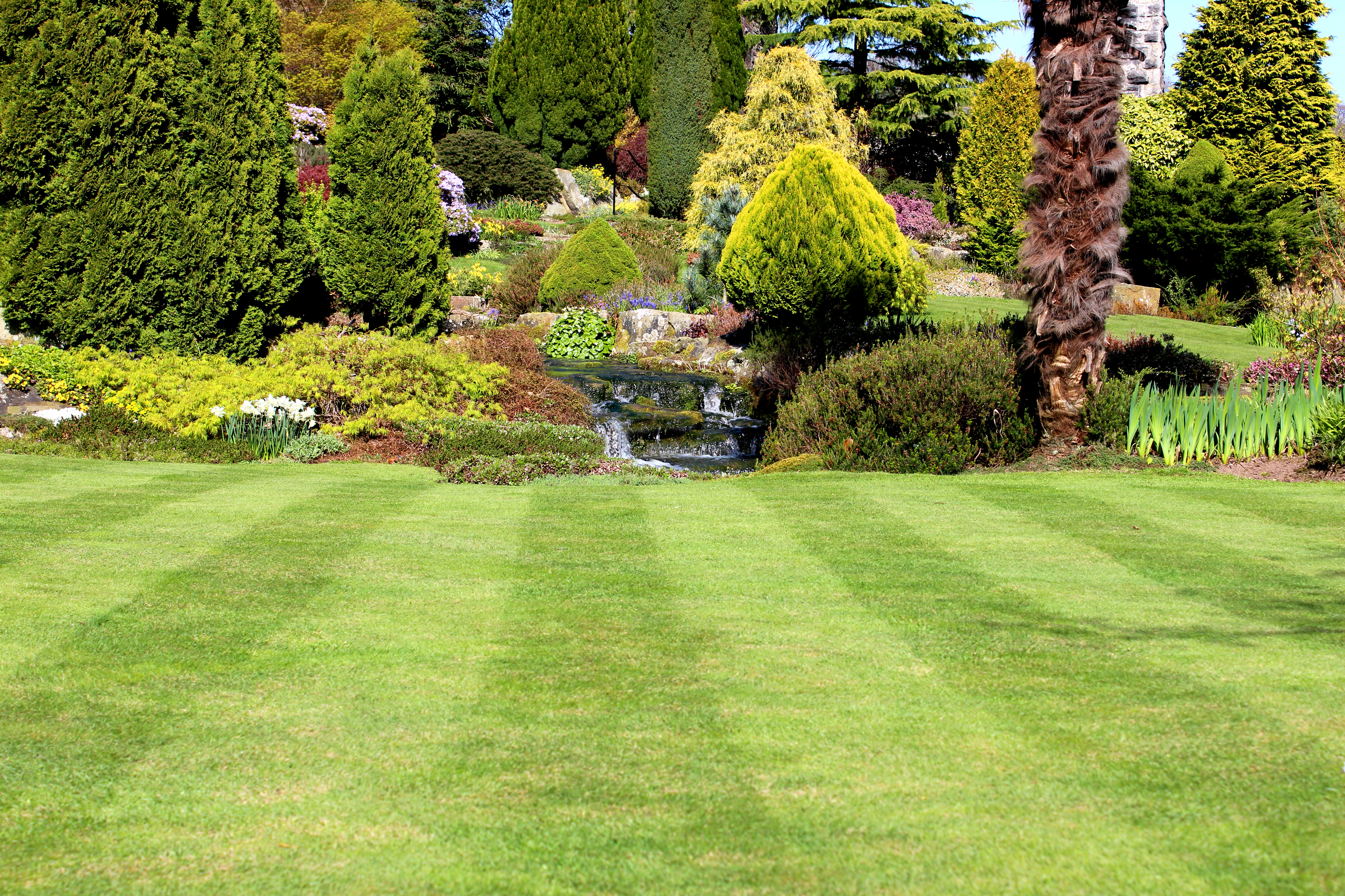 Mow the lawn less frequently (Thinkstock/PA)