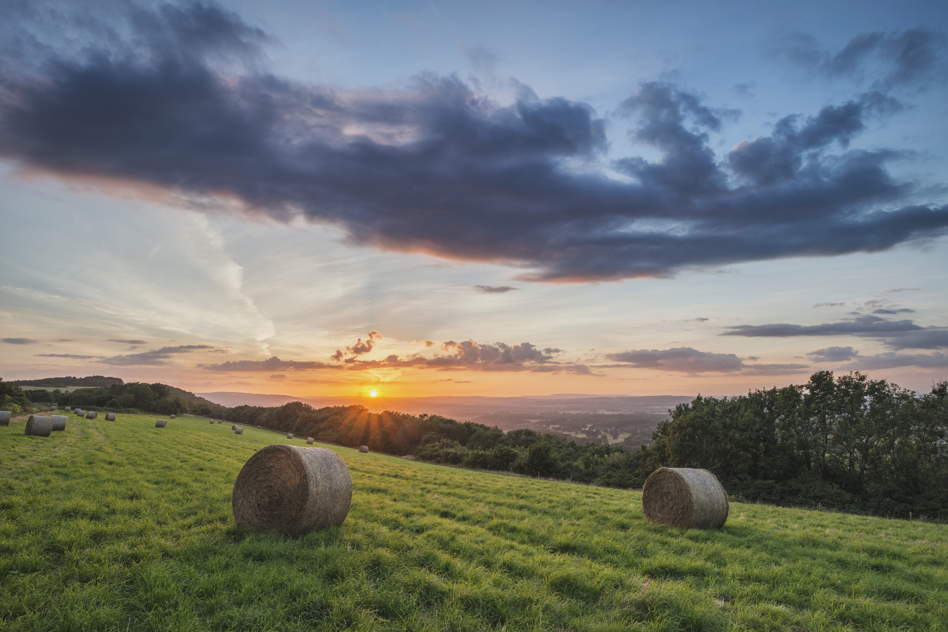 Field with hay bales in South Downs