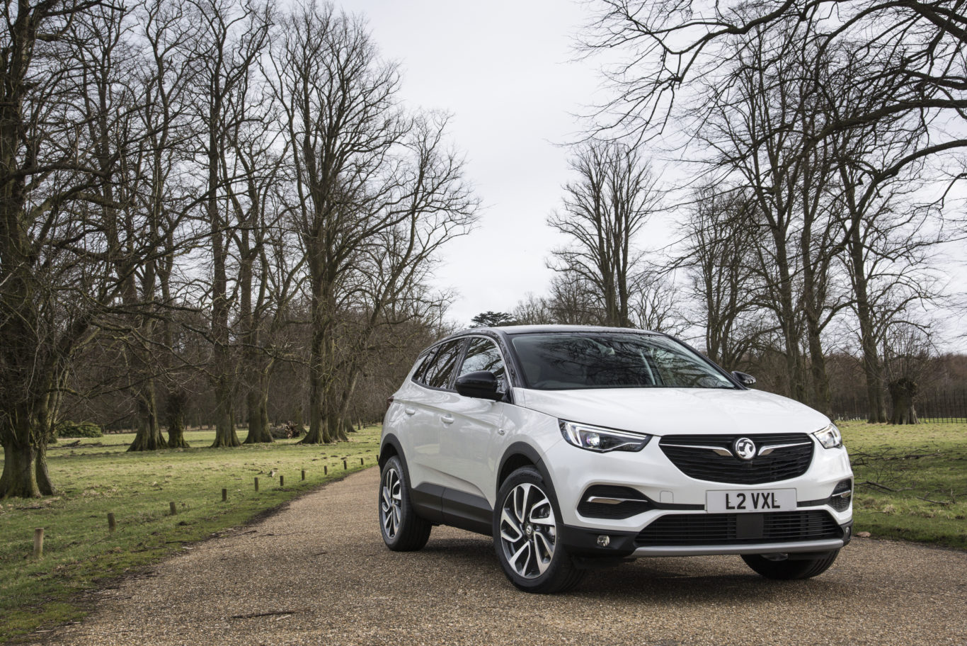 The Vauxhall Grandland X is another entry into the busy SUV segment
