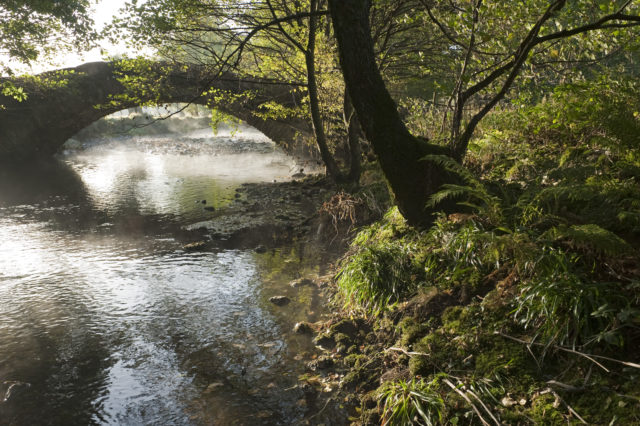 River banks will be restored along the River Derwent (Paul Harris/National Trust/PA)
